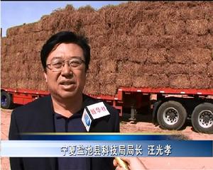 新華社採訪視頻截圖