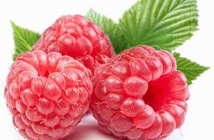 覆盆子葉茶 覆盆子葉茶