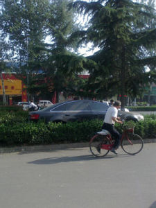 濮陽房產網 濮陽房產網