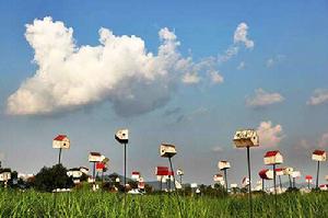 藍天公園 藍天公園