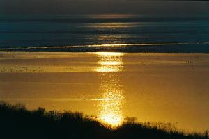 興凱湖自然保護區 興凱湖自然保護區