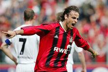 效力于勒沃庫森