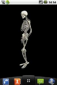 骷髏舞蹈 骷髏舞蹈