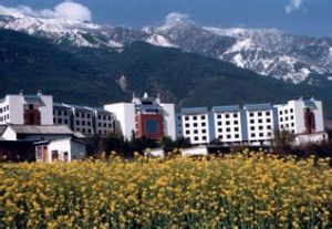 大理亞星大酒店 大理亞星大酒店