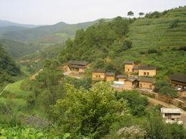 楊家壩村[湖州市德清縣禹越鎮下轄村]