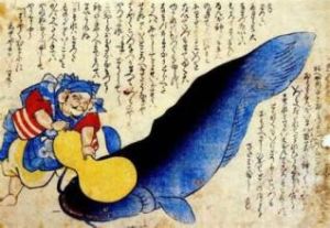 卡亞石首魚 卡亞石首魚