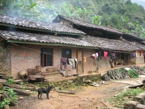 望南自然村 望南自然村