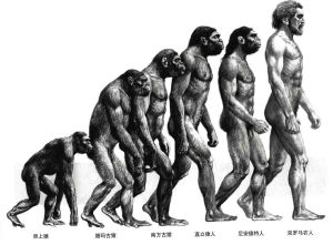 人類進化