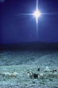 （圖）伯利恆之星