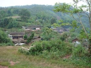 外平掌村 外平掌村
