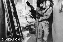 街童[1960年岳楓執導電影]