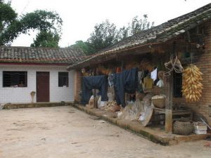 芒專自然村 芒專自然村