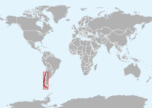 智利矮海豚分布