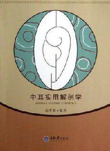 中耳實用解剖學 中耳實用解剖學