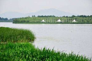 媯水河森林公園