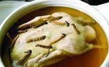 蟲草花燉老鴨煲 蟲草花燉老鴨煲