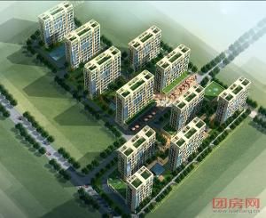 國際總部花園 國際總部花園