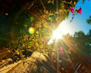 游慧錫兩山記 游慧錫兩山記