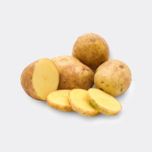 有機土豆 有機土豆