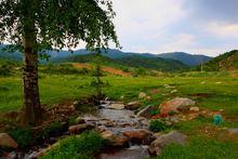 雲頂山[山西婁煩雲頂山]