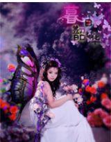 暮日韶華 暮日韶華