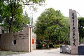 重慶青年職業技術學院 重慶青年職業技術學院