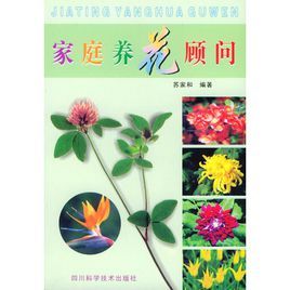 家庭養花顧問 家庭養花顧問