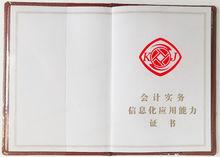 會計信息化證樣式