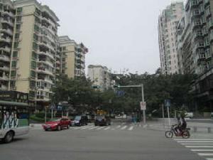 田廈金牛廣場 田廈金牛廣場