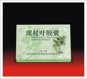 虎杖葉膠囊 虎杖葉膠囊