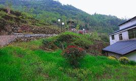 曙光村[江蘇省睢寧縣官山鎮下轄村]