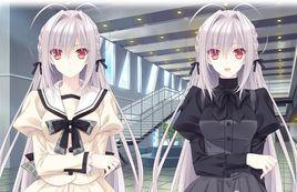 櫻小路才華 櫻小路才華