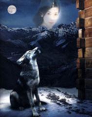 我變成了一條狗 我變成了一條狗