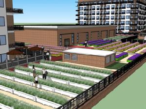 新星綠城蘋果公寓 新星綠城蘋果公寓