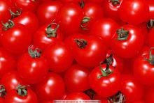 紅色食物——西紅柿
