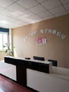 趣夢(武漢)電子有限公司 趣夢(武漢)電子有限公司