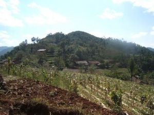 沙鍋箐村 沙鍋箐村