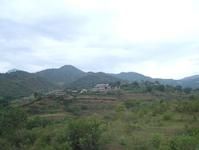 江東自然村 江東自然村