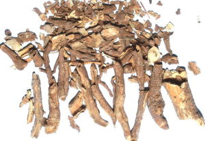 五加皮[苦苣苔科桂黔吊石苣苔植物的別稱]