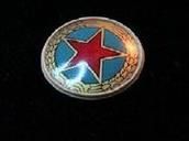 87志願軍作訓帽徽