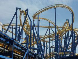 瘋狂眼鏡蛇 瘋狂眼鏡蛇