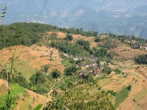 草子地村 草子地村