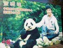 黃曉明 熊貓愛心大使