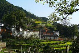 新河鎮[全國百佳歷史文化名鎮]