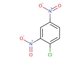 2,4-二硝基氯苯 2,4-二硝基氯苯