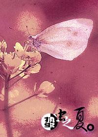 蟄蟲之夏 蟄蟲之夏