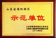 濟南聖泉集團股份有限公司