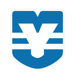 梅菜肉丸 梅菜肉丸