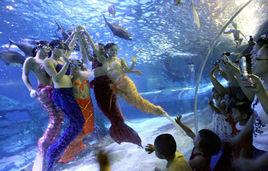 興澳海底世界 興澳海底世界