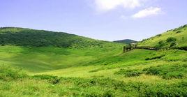 祝福留壩 祝福留壩